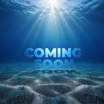 Paddlesports - Waterproof Bags & Cases